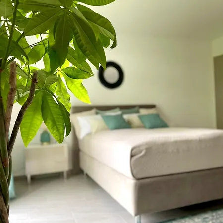 Mit Stadtblick Koblenz (Rhineland-Palatinate)