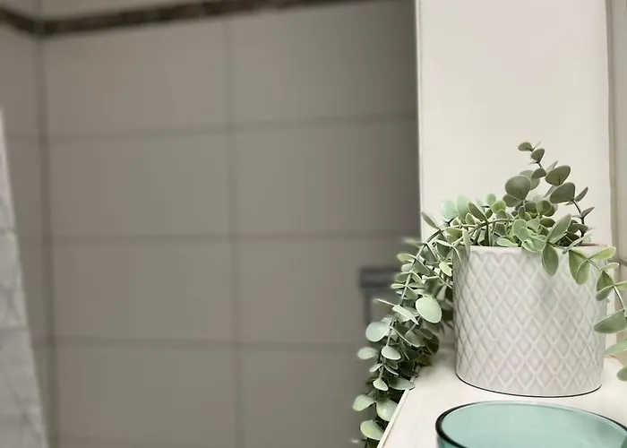 Mit Stadtblick 코블렌츠